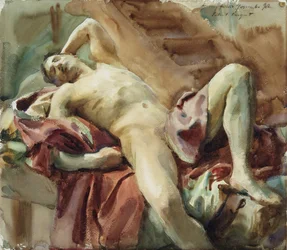 Studio di figura