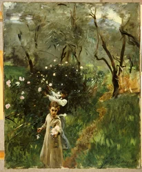 Raccolta di fiori al crepuscolo