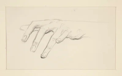Studio di una mano