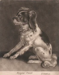 Un Cane con un Collare con Campanelli