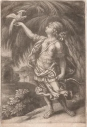 Un Falconiere