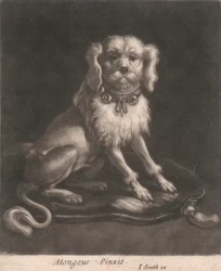 Un Piccolo Cane con un Collare con Campanelli