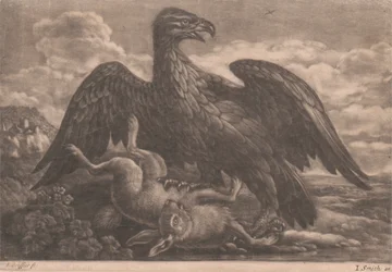 Aquila e lepre