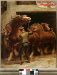 Stalloni belgi