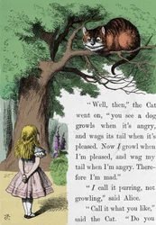 Alice e il gatto, illustrazione di Sir John Tenniel per la prima edizione di Alice nel Paese delle Meraviglie dello scrittore inglese Lewis Carroll (Charles Lutwidge Dodgson) (1832-1898).