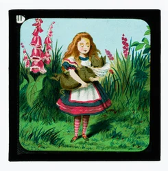 Alice nel Paese delle Meraviglie, diapositive colorate