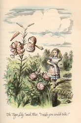 Alice nel paese delle meraviglie e Attraverso lo specchio, di Lewis Carroll, illustrato da John Tenniel