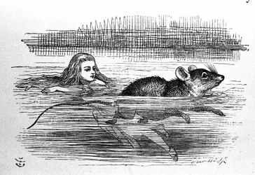 Alice nel Paese delle Meraviglie di Lewis Carroll (E. Dodgson). Illustrazione della prima edizione di Tenniel