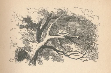 Il Gatto del Cheshire inizia a svanire, il suo sorriso è l