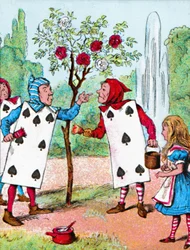 Le carte da gioco dipingono i cespugli di rose, c1910