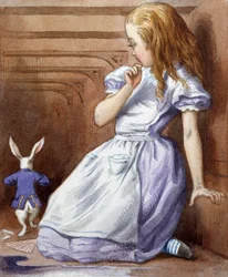 Immagine Sconosciuta