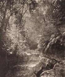Un passo di montagna nell