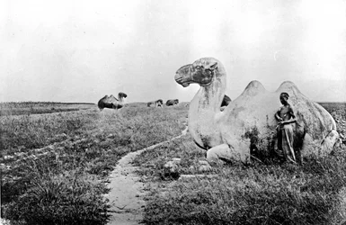 Cina, cammelli scolpiti della Via Imperiale, c.1870