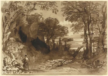Una radura in una foresta