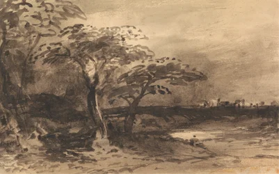 Fiume, alberi e città lontana
