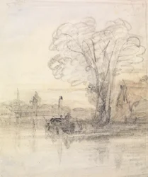 Alberi che sovrastano un fiume