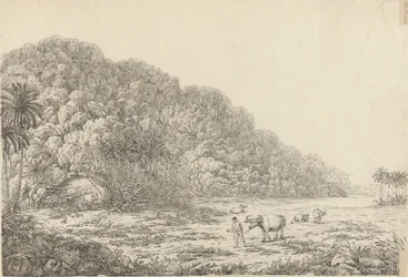 Veduta dell