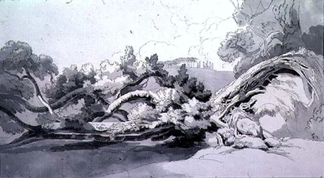 Paesaggio, con albero sradicato