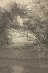 Alberi che Sovrastano un Lago
