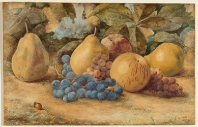 Natura morta di frutta: mele, pere e uva a terra