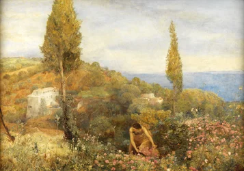 Rose, asfodeli e cipressi - Algeria