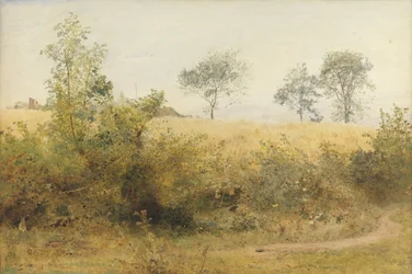 Il pipistrello inizia con un