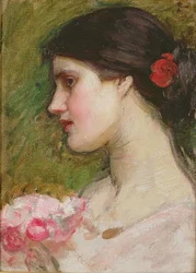 Camelie