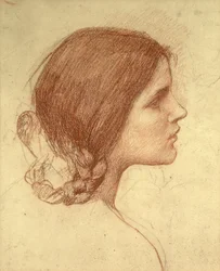 Testa di una ragazza, c.1905