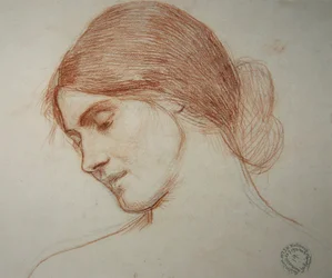 Testa di una giovane ragazza, a sinistra