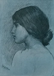 Studio di una Testa, c1899