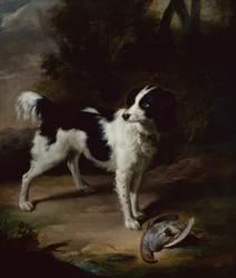 Spaniel Bianco e Nero con una Pernice Morta in un Paesaggio