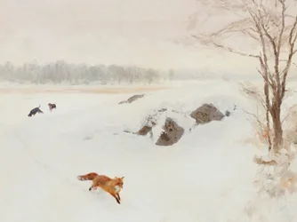 Caccia invernale alla volpe rossa