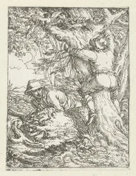Il ladro di nidi
