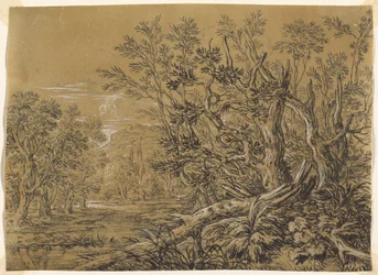 Ruscello attraverso una foresta antica