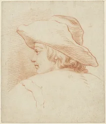 Testa di un ragazzo con un grande cappello