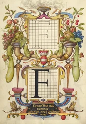 Guida alla costruzione della lettera F