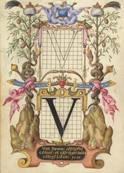 Guida alla costruzione della lettera V