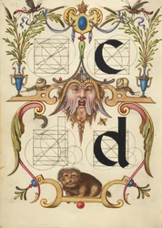 Guida alla costruzione delle lettere c e d