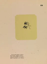 Suocera
