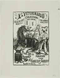 Il veterinario