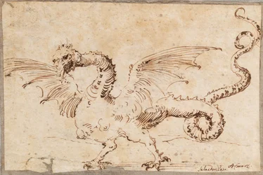 Studio di un drago