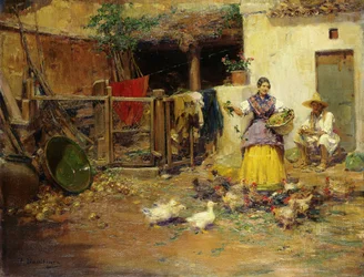 Nutrire i polli