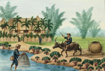 Manila e i suoi Dintorni: Una Scena sul Fiume Pasig