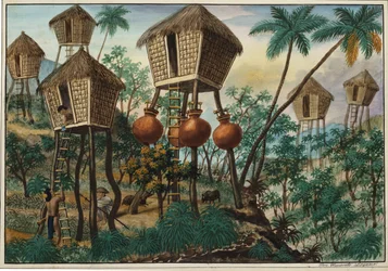 Manila e i suoi dintorni: Capanne degli indiani di montagna