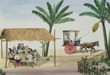 Immagine Sconosciuta