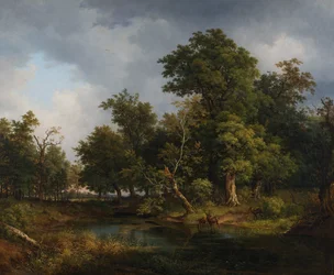 Paesaggio boschivo