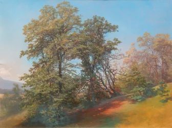 Gruppo di alberi sul Mönchsberg a Salisburgo