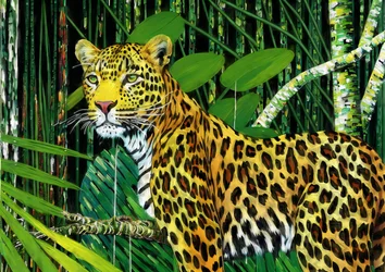 Animali: leopardo 1