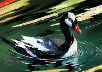 Animali: cigno nero 1