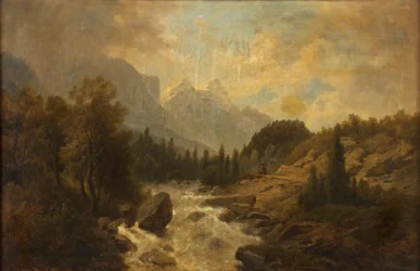 Paesaggio boschivo
